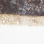 Volcanic Rust over Matte White
